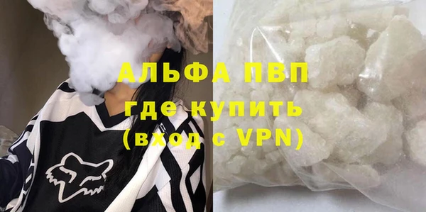 PSILOCYBIN Козловка