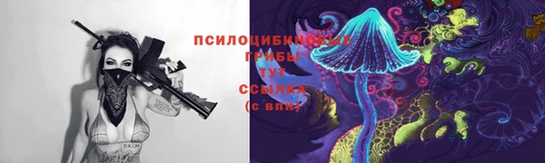 PSILOCYBIN Костерёво