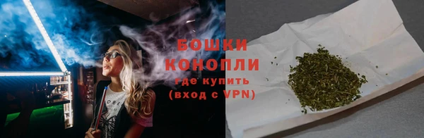 PSILOCYBIN Козловка