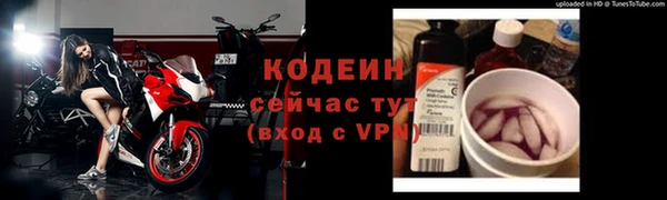 прущий лед Кодинск