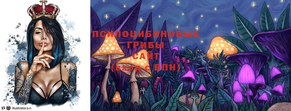 PSILOCYBIN Козловка
