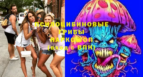 PSILOCYBIN Козловка