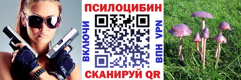 Галлюциногенные грибы MAGIC MUSHROOMS  Лысьва 